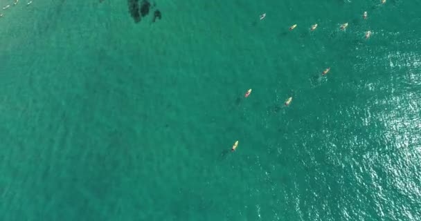 Group Canoe Kayak Cursing Nice Clear Warm Tropical Water Aerial — Stock Video