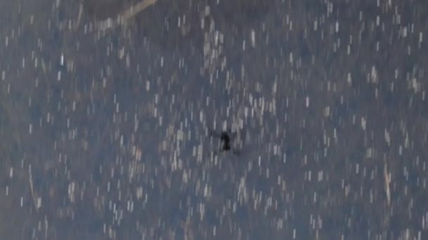 Una Imagen Posterior Dron Volando Sobre Lago — Vídeo de stock