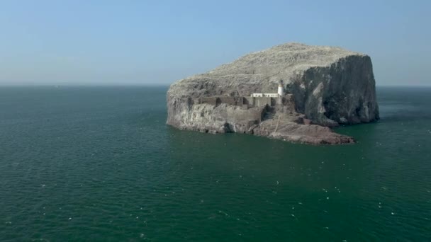 Μια Εναέρια Άποψη Πλησιάζει Bass Rock Και Φάρο Κατά Μήκος — Αρχείο Βίντεο