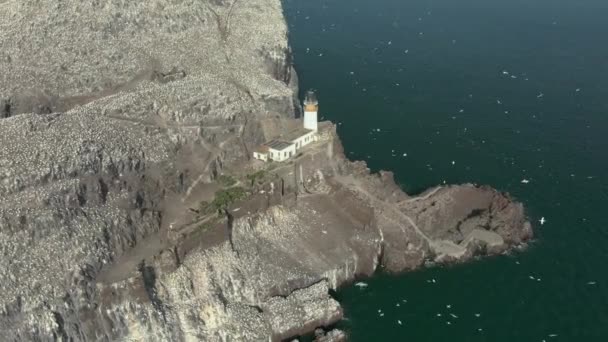 Una Vista Aerea Che Circonda Bass Rock Faro Come Uccelli — Video Stock