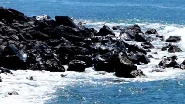 Onde Che Infrangono Rocce Vulcaniche Nere Sulla Costa Villaggio Rurale — Video Stock