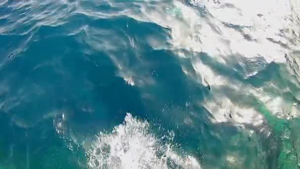 Male Jumping Deep Pier Ocean Creating Millions Underwater Bubbles His — Stock Video