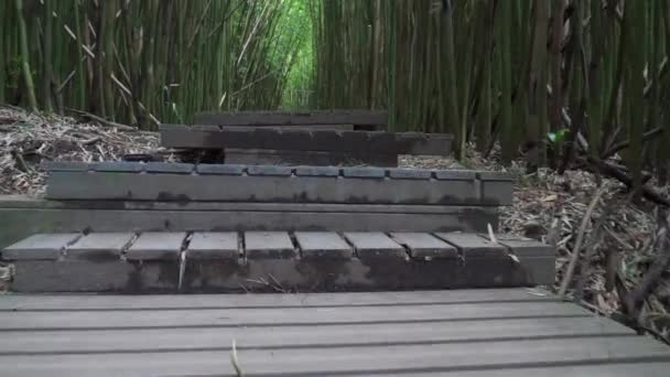 Низький Постріл Вгору Сходах Бамбуковому Лісі Мауї Гаваї — стокове відео