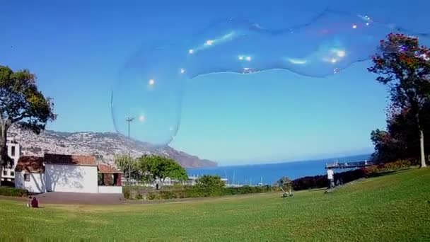 用自制的溶液和魔杖制造巨大的气泡 然后在室外公园的草地上追逐它 夏季活动 — 图库视频影像