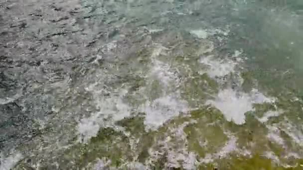 岩の上に水がさざ波を立てて川や木々を覆い — ストック動画