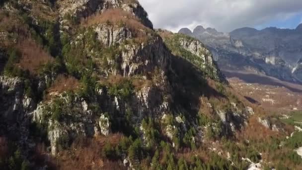 Face Montagne Dans Les Alpes Avec Des Arbres Verts Poussant — Video