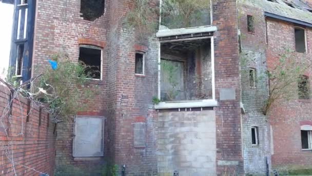 Abandoned Deteriorating Flats Being Taken Mother Nature Plants — Stock Video