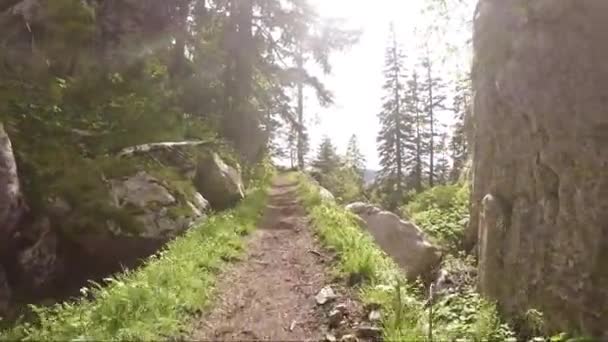 Piękny Górski Szlak Oświetlony Porannym Słońcem Otoczony Trawą — Wideo stockowe