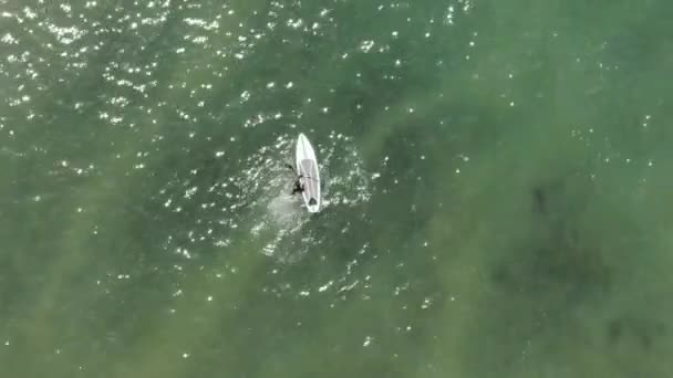 Surfistas Mar Kamakura Japão — Vídeo de Stock