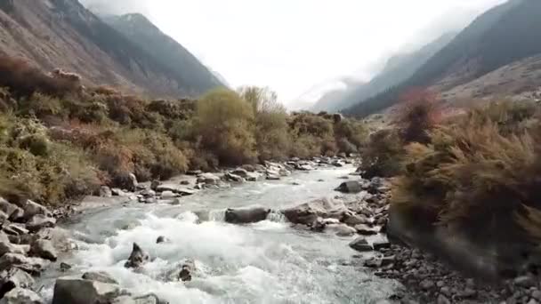 Niesamowita Górska Rzeka Przepływająca Przez Dolinę Barskoon Kirgistanie Środkowa Azja — Wideo stockowe