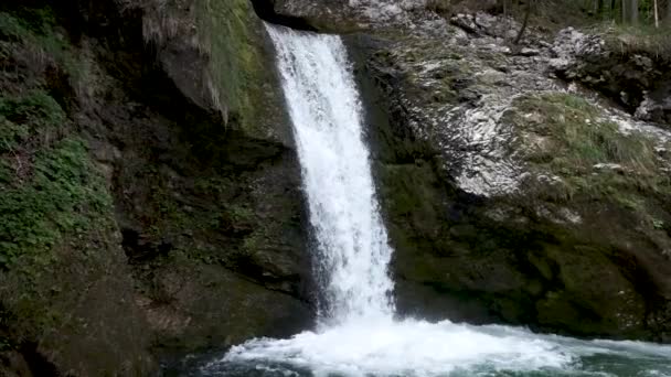 Vattenfall Slovenien Waterfall Grmecica Nära Sjön Bohinj Triglav Nationalpark Vacker — Stockvideo