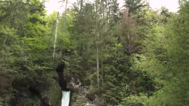 Tavaszi Fák Szlovéniában Virágporral Levegőben Szlovén Vízesés Európában Bohinj Közelében — Stock videók