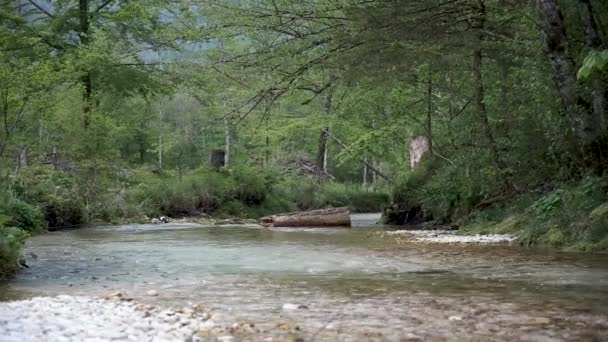 Vattenfall Slovenien Waterfall Grmecica Nära Sjön Bohinj Triglav Nationalpark Vacker — Stockvideo