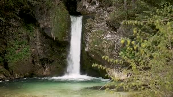 Cascada Eslovenia Cascada Grmecica Cerca Del Lago Bohinj Parque Nacional — Vídeos de Stock