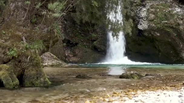 Cascada Din Slovenia Cascada Grmecica Lângă Lacul Bohinj Din Parcul — Videoclip de stoc