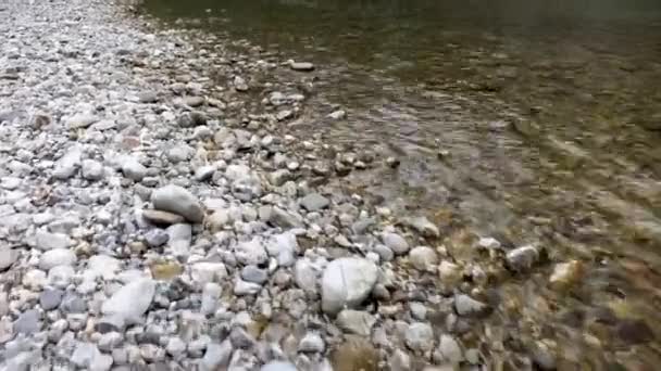 Sava Bohinjska Lub Rzeka Bohinj Słowenii Biegnąca Jeziora Bohinj Jeziora — Wideo stockowe