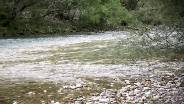 Sava Bohinjska Lub Rzeka Bohinj Słowenii Biegnąca Jeziora Bohinj Jeziora — Wideo stockowe