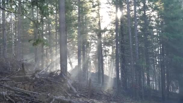 最近の野火の煙を通して太陽光線 — ストック動画