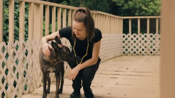 Caucasian Girl Squats Shy Dog Gives Him Kisses — Stock Video
