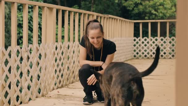 Zvědavý Pes Pomalu Krouží Kolem Dívky Pozoruje Čichá Šťastná Dívka — Stock video