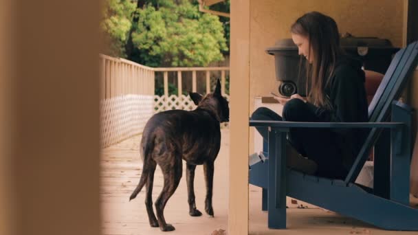 Rapariga Está Enviar Mensagens Cão Quer Atenção Senta Desajeitadamente Cheira — Vídeo de Stock