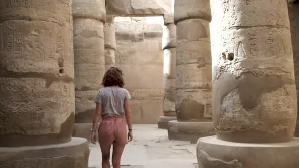 Mısır Luxor Daki Karnak Tapınağı Stok Videosu Karnak Tapınağı Kompleksi — Stok video
