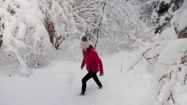 Zelenci Lente Een Zeer Koude Winters Dag Een Natuurlijke Lente — Stockvideo