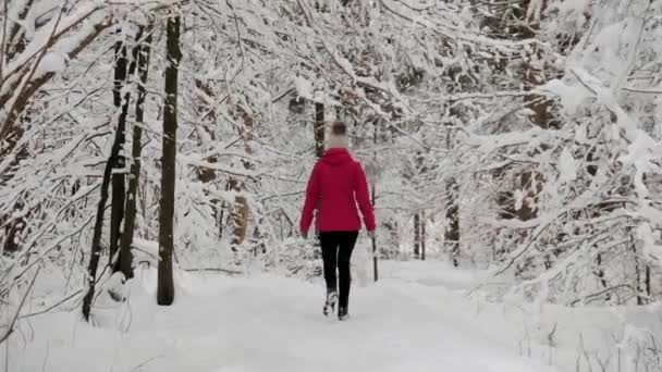 Zelenci Lente Een Zeer Koude Winters Dag Een Natuurlijke Lente — Stockvideo