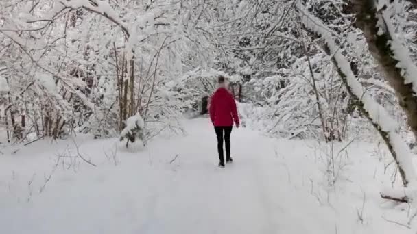 Zelenci Kommer Kall Vinterdag Naturlig Vår Slovenien Med Mycket Snö — Stockvideo