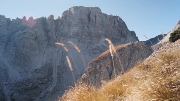 Alpes Albanaises Par Une Journée Été Avec Vent Soufflant Vent — Video