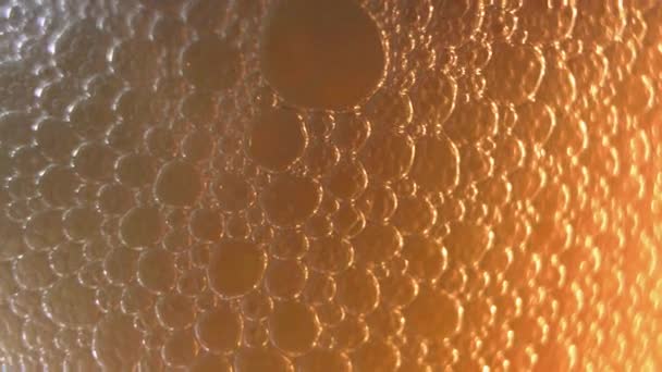 Beer Head Macro Close Beer Frothy Foam Beverage Glass Active — Stock Video