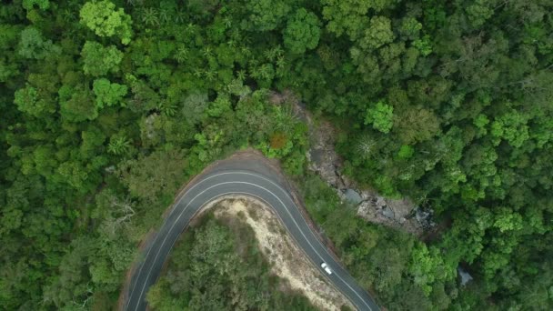 近くの滝や小川の水が流れる熱帯雨林の真ん中の狭い曲がり角道路での車の運転の空中ビュー — ストック動画