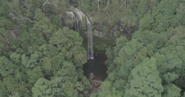 Twin Waterval Valt Het Hart Van Het Regenwoud Prachtige Waterval — Stockvideo