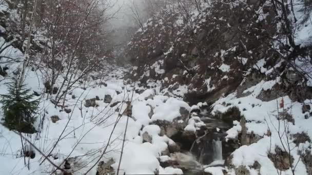 Krásný Zimní Den Bohinji Triglavském Národním Parku — Stock video
