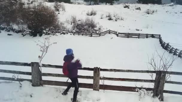 Hermoso Día Invierno Bohinj Parque Nacional Triglav Mujeres Lanzando Nieve — Vídeos de Stock