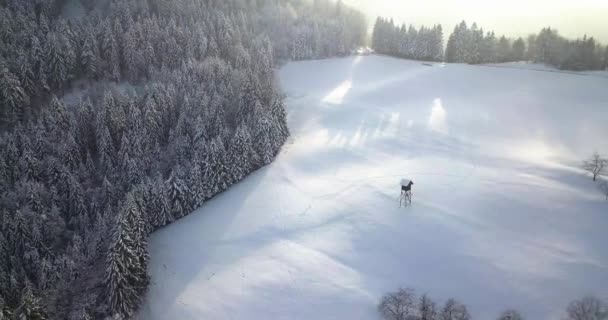 Malebný Kostel Tomáše Vrcholu Kopce Středním Slovinsku Zimě — Stock video