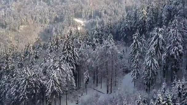 겨울에 슬로베니아 꼭대기에 토마스의 그림같은 — 비디오