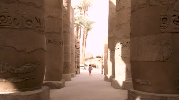 Stock Video Karnak Temple Luxoru Egypt Chrámový Komplex Karnaku Obecně — Stock video