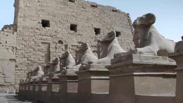 Stock Video Karnak Tempel Luxor Egypte Het Karnak Tempelcomplex Beter — Stockvideo