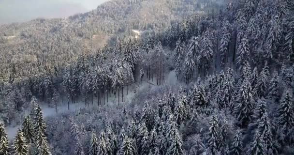 Malowniczy Kościół Tomasza Szczycie Wzgórza Środkowej Słowenii Zimą — Wideo stockowe