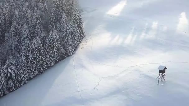 Malebný Kostel Tomáše Vrcholu Kopce Středním Slovinsku Zimě — Stock video