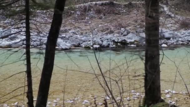 Вид Бирюзовой Воды Спускающейся Вниз Реке Сока Словенской Области — стоковое видео