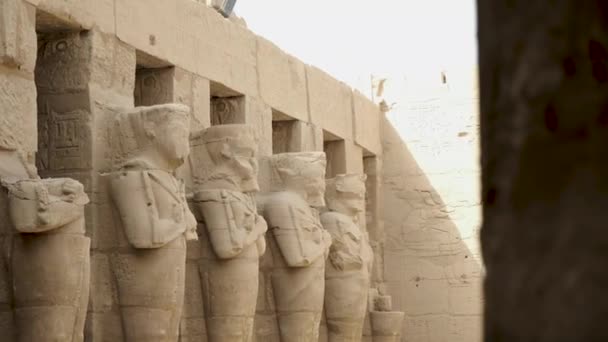 Stock Video Templo Karnak Luxor Egipto Complejo Templos Karnak Comúnmente — Vídeo de stock