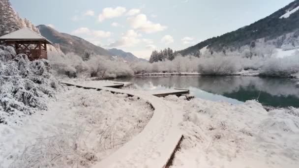 Zelenci Lente Een Zeer Koude Winters Dag Een Natuurlijke Lente — Stockvideo