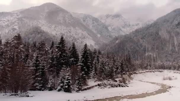 Zelenci Brota Día Inviernos Muy Frío Una Primavera Natural Eslovenia — Vídeos de Stock