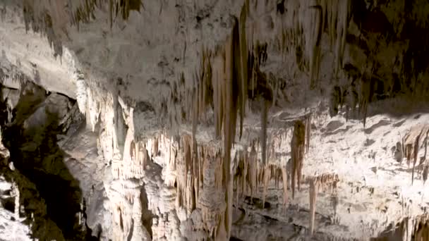 Postojna Jaskinia Wnętrze Patelnia Nad Stalagmitami Stalaktyty Przejazd Przez Podświetlony — Wideo stockowe