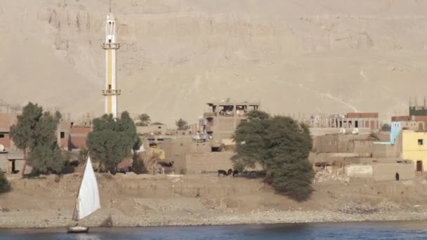 Uitzicht Het Prachtige Egyptische Dorp Vanaf Een Nijl Rivier Cruise — Stockvideo