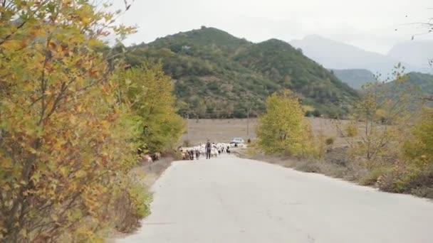 Fiume Vjose Albania Durante Stagione Autunnale Fiume Permet Bel Colore — Video Stock