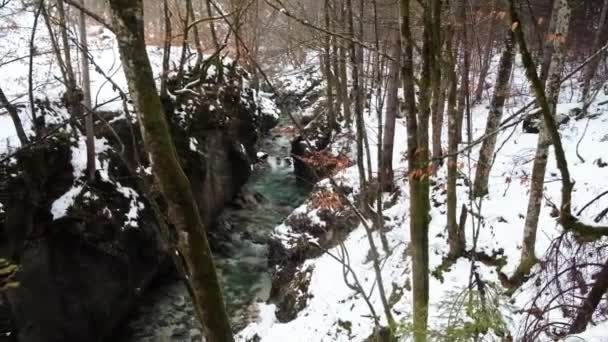 Prachtige Winterdag Bohinj Het Triglav Nationaal Park — Stockvideo