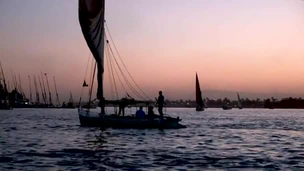 Nilo Barco Vela Nilo Luxor Atardecer Hermoso Histórico Egipto — Vídeo de stock